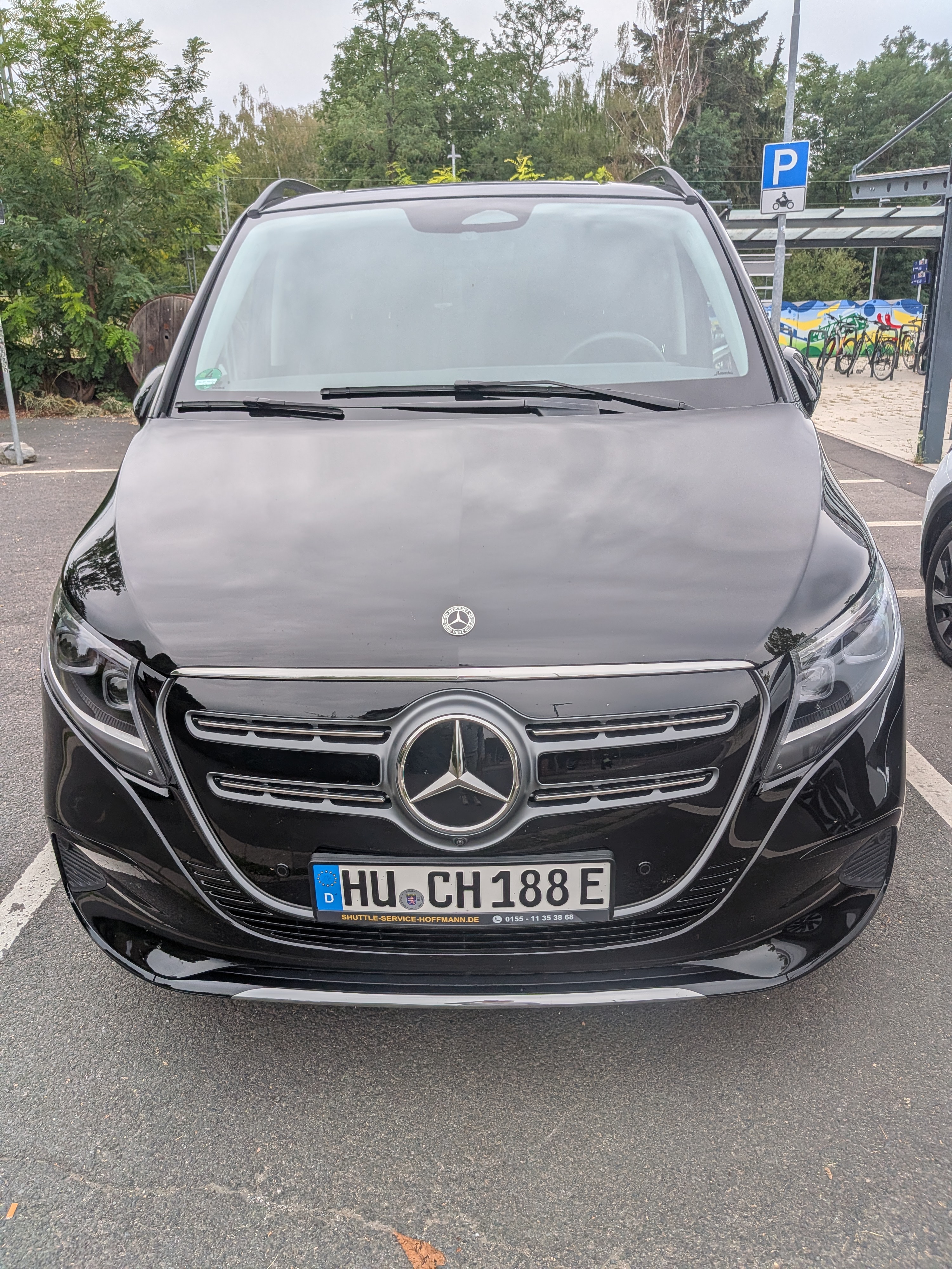 Rheingau Tour (Tour, Tasting and Straußenwirtschaft) — Foto 5